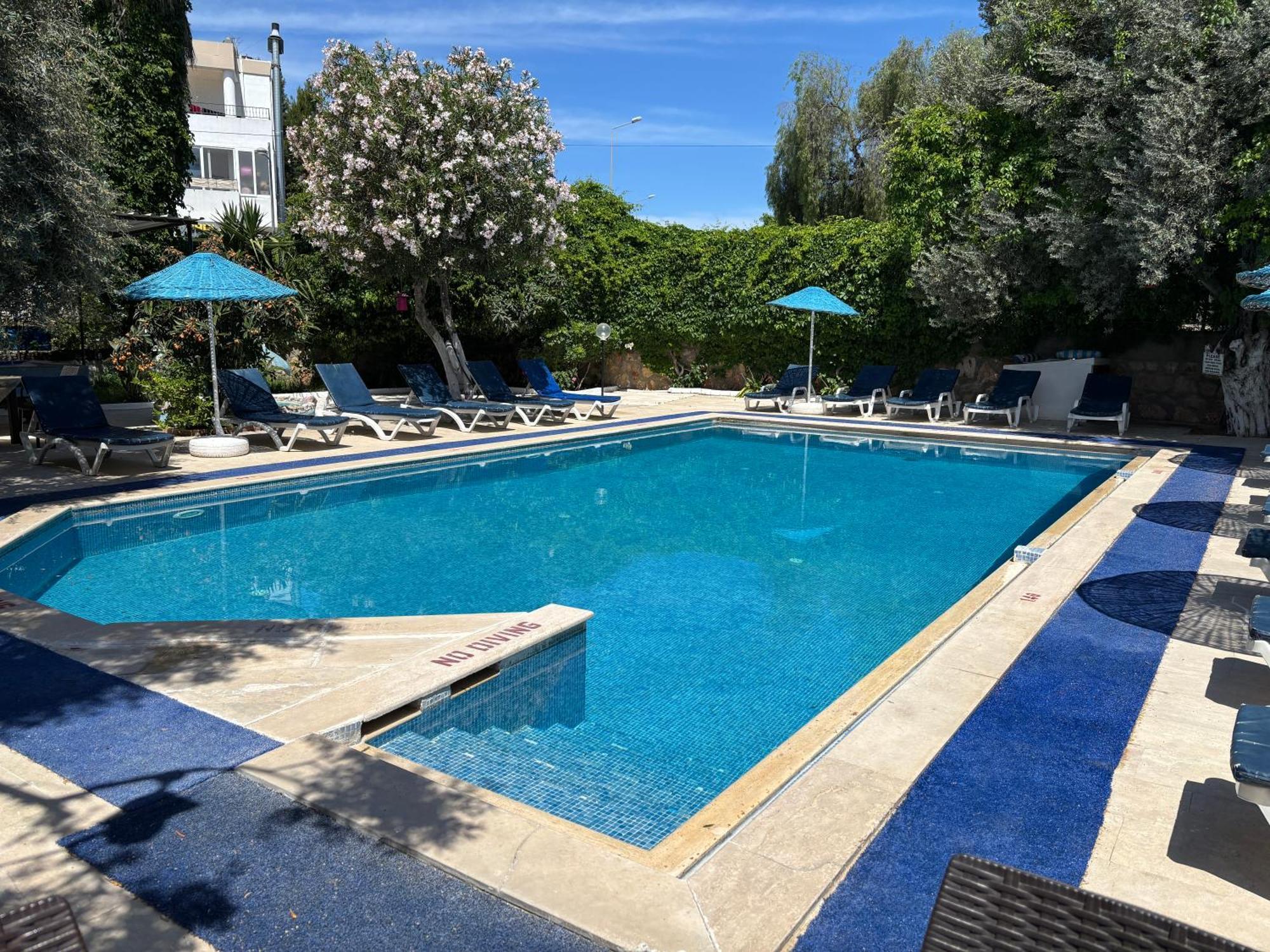 Hotel Ali Baba
