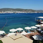 Paradise Bardakci