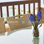 Bodrum Yalikavak Seahorse Full Seaview Holiday Homes