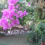 Hotel Gulec