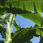 Sun Garden Apart Hotel