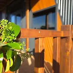 Tiny House Yalikavak Natural Garden