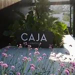 Caja By Maxx Royal