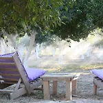 Bodrum Ecofarm Camping