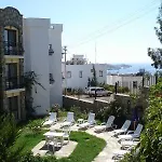 Ayhan Hotel And Pension