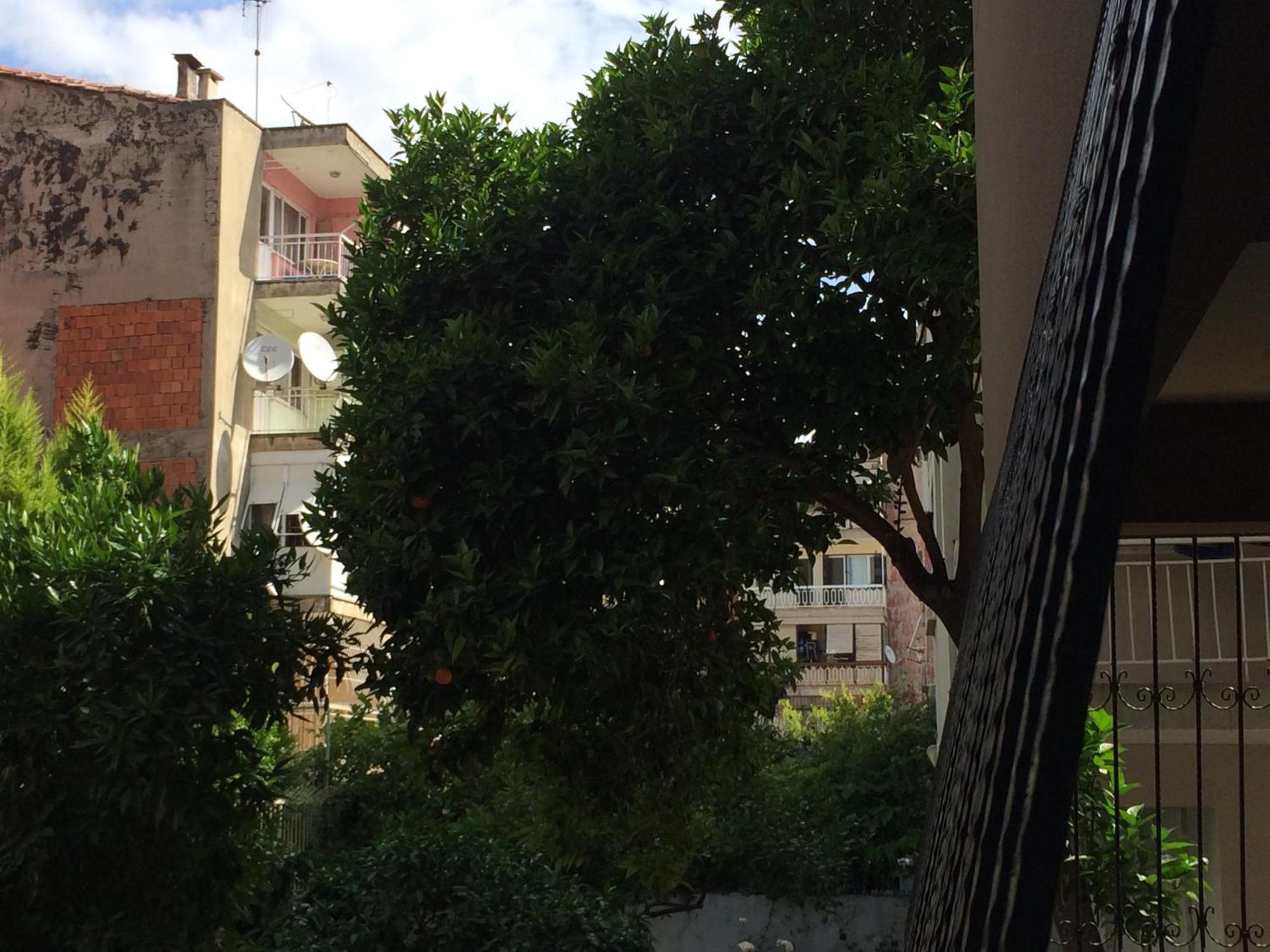 Apartman Konakli *