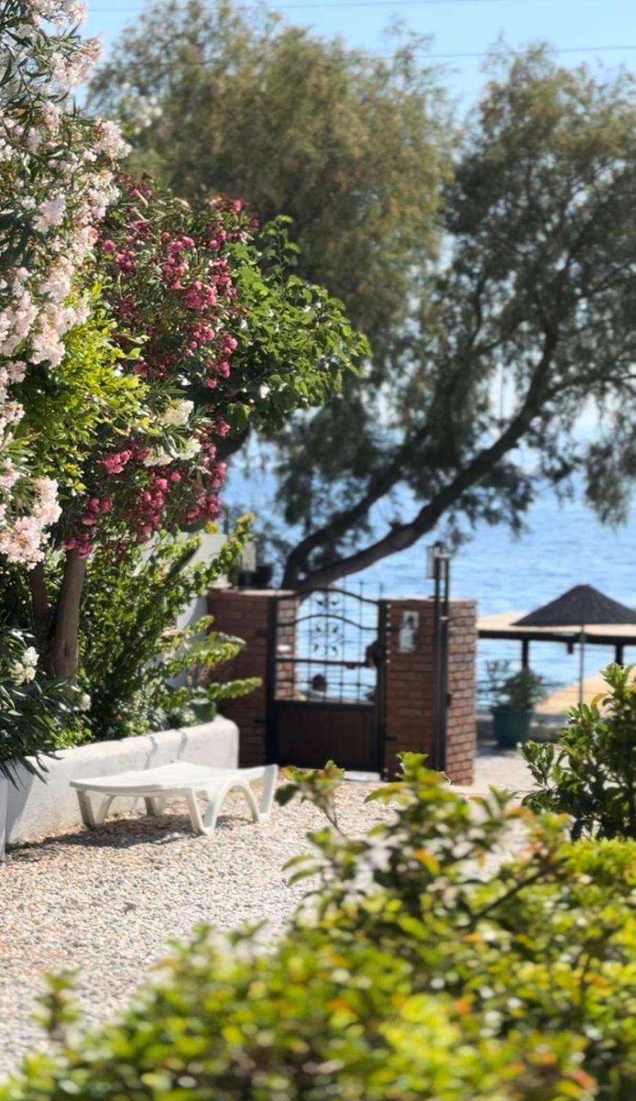 Oda ve Kahvaltı Yueksel Butik Bodrum