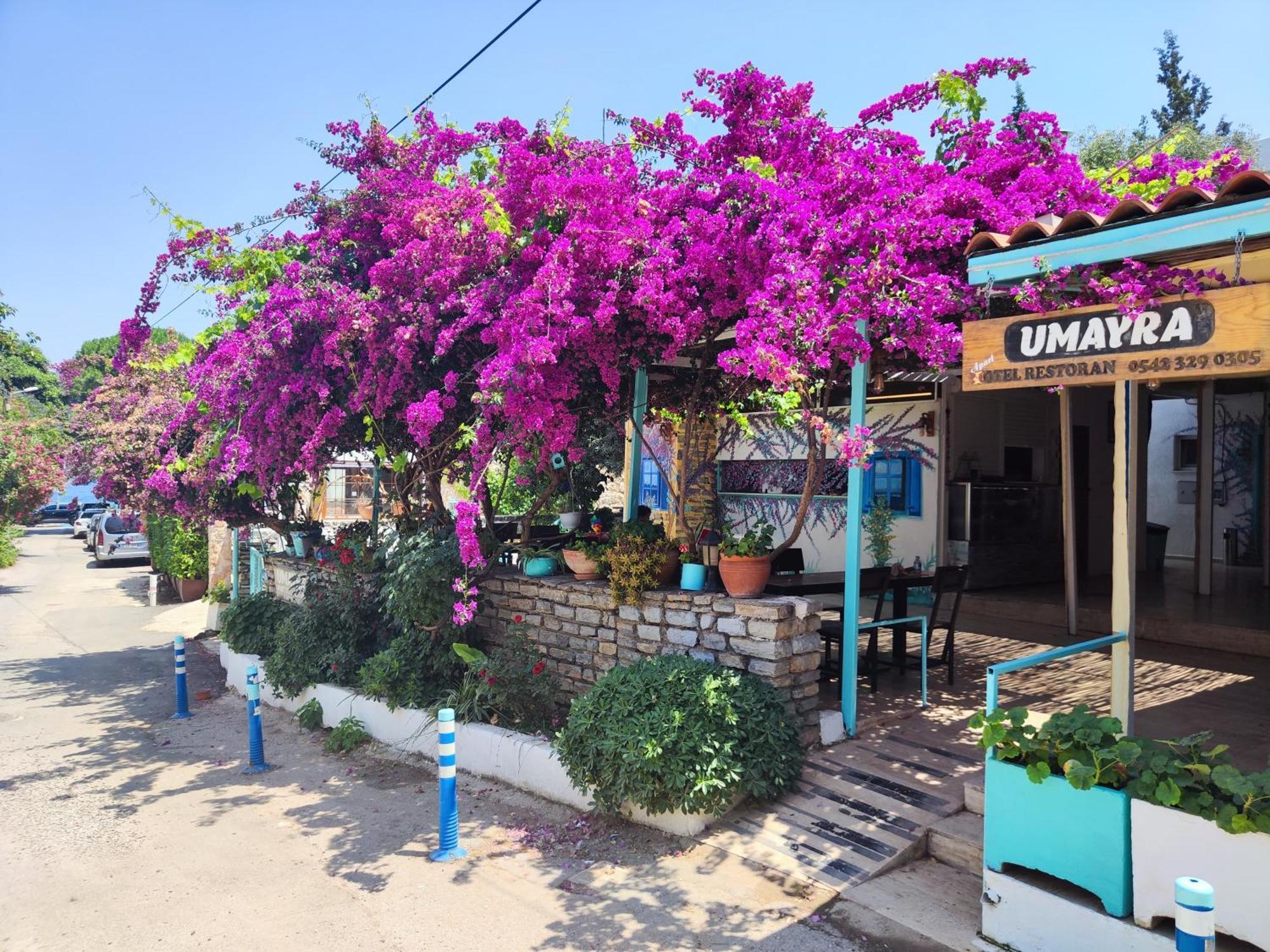Отель Umayra Бодрум