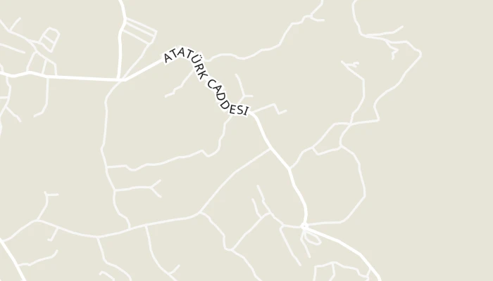 Χάρτης