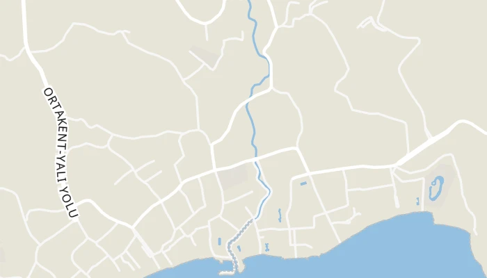 Карта