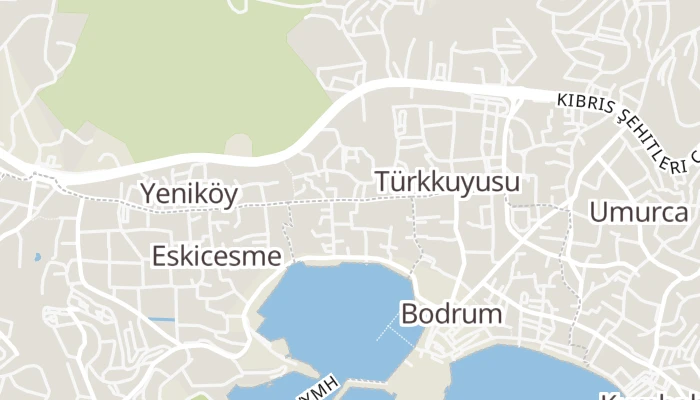 Térkép