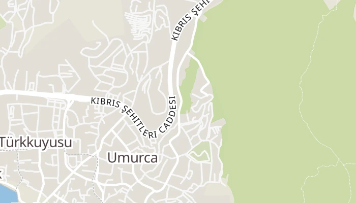 Карта