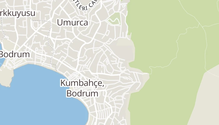 Χάρτης