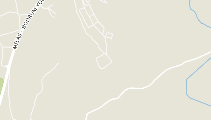 地图